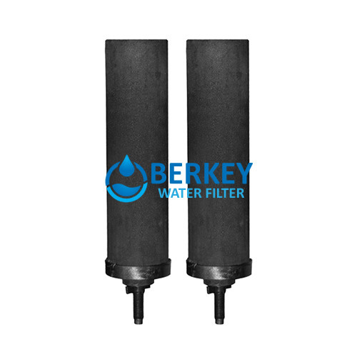 (Set of 2) Berkey Replacement Filters
