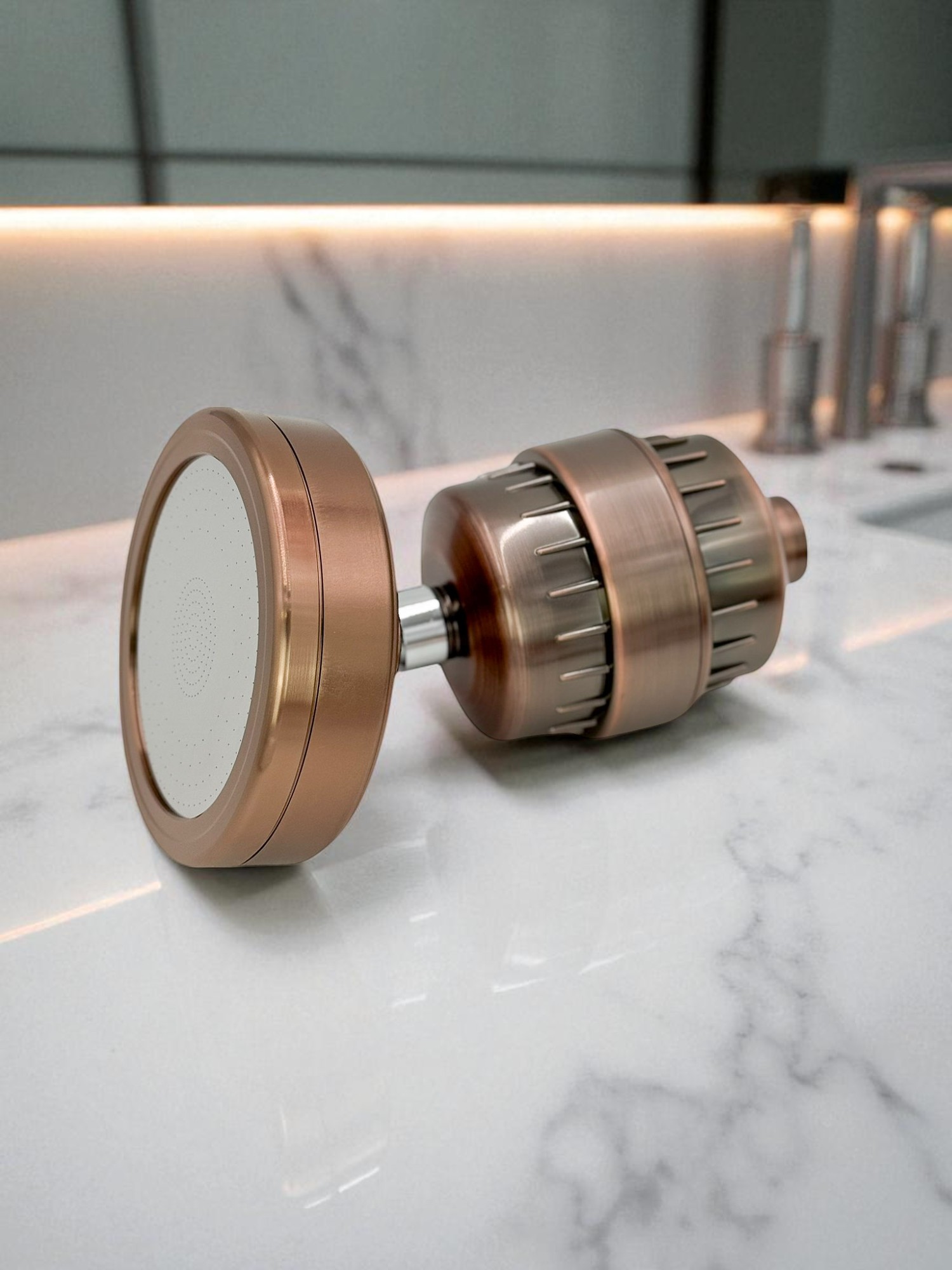 Shower Filter Set (Oil Rubbed Bronze)