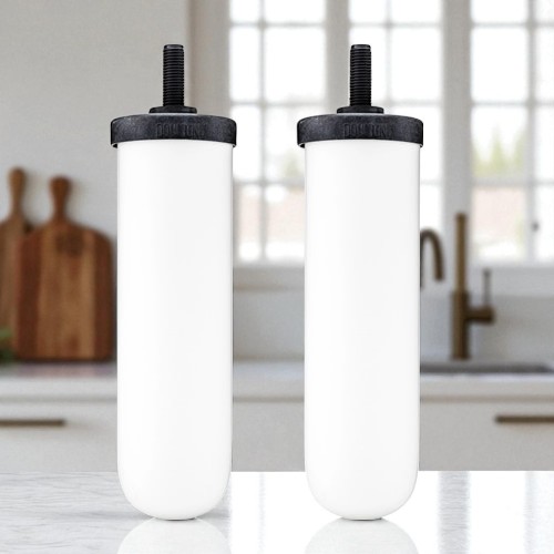 Berkey Water Filters (2 Pack)